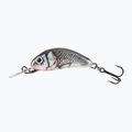 Salmo Hornet FL holographic grey shiner wobbler QHT015