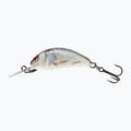 Salmo Hornet FL real dace wobbler QHT016