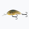 Salmo Hornet FL real roach wobbler QHT079