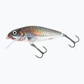 Salmo Perch FL holographic grey shiner QPH021 wobbler