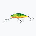 Salmo Bullhead SDR hot perch wobbler QBD013