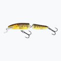 Salmo Fanatic F7F trout wobbler QIF004