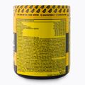 Real Pharm pre-workout Unreal 360g blackcurrant-citrus 700957 3