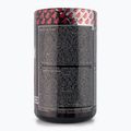 Real Pharm Terminator pre-workout 500g blackcurrant 715043 3