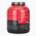 Fitness Authority Isolate Bad Ass Zero 2 kg cookies with cream 2