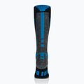 Men's ski socks Brubeck Snow Force Light grey / blue 3