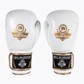 Boxing gloves DBX BUSHIDO DBD-B-2 white