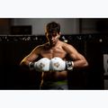 Boxing gloves DBX BUSHIDO DBD-B-2 white 9