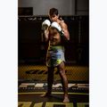 Boxing gloves DBX BUSHIDO DBD-B-2 white 10
