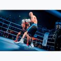 Boxing gloves DBX BUSHIDO DBD-B-2 white 13