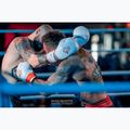 Boxing gloves DBX BUSHIDO DBD-B-2 white 14