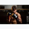 DBX BUSHIDO boxing gloves ARB-407 black 12
