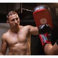DBX BUSHIDO PAO natural leather training shield red Ars-1201a 5