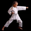 DBX BUSHIDO ARK-3102 children's belted karategi white 14