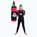 DBX BUSHIDO Boxing Gloves For Kids Black ARB-407v3_6oz 6