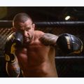 DBX BUSHIDO natural leather boxing gloves black B-2v14 14