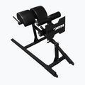 Biceps exercise device THORN FIT GHD-1 gym black