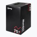 THORN FIT Soft Plyo Box black TF22124 2