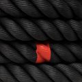 Training rope THORN FIT Competition Hybrid do sanek black 7
