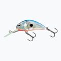 Salmo Hornet FL silver blue shad wobbler QHT084