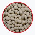 MatchPro Top garlic 7mm dumbbell hookbait 979231 2