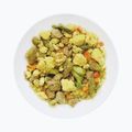 Freeze-dried food LYOFOOD Pork loin in dill sauce LF-7531 3