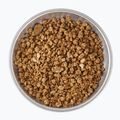 Freeze-dried food LYOFOOD Jaglanka on coconut drink 210 g 3