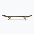 Fish Skateboards Emma Beginner 8.0" green classic skateboard 3