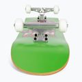Fish Skateboards Emma Beginner 8.0" green classic skateboard 5