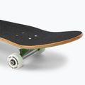 Fish Skateboards Emma Beginner 8.0" green classic skateboard 7