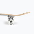 Fish Skateboards Zack Beginner classic skateboard 8.0' blue SKATE-ZAC-SIL-WHI 12