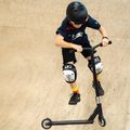 Fish Scooters Shark freestyle scooter black 12
