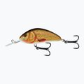Salmo Hornet FL golden crucian wobbler QHT860