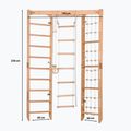 Gymnastics ladder Rinagym SPR Corner natural 2