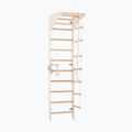 Gymnastic ladder RINAGYM SPR C white 3