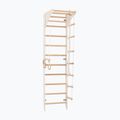 Gymnastic ladder RINAGYM SPR C white 4