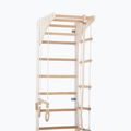 Gymnastic ladder RINAGYM SPR C white 5