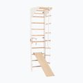 Gymnastic ladder RINAGYM SPR C+SLIDE 2