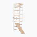 Gymnastic ladder RINAGYM SPR C+SLIDE 3
