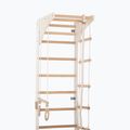 Gymnastic ladder RINAGYM SPR C+SLIDE 5