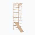 Gymnastic ladder RINAGYM SPR C+SLIDE 4