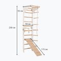 Gymnastic ladder RINAGYM SPR C+SLIDE 6
