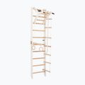 RINAGYM gymnastic ladder SPR A white
