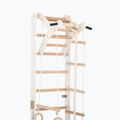 RINAGYM gymnastic ladder SPR A white 3