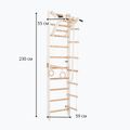 RINAGYM gymnastic ladder SPR A white 4