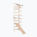 RINAGYM SPR A+SLIDE gymnastic ladder 3