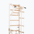 RINAGYM SPR A+SLIDE gymnastic ladder 5