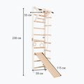 RINAGYM SPR A+SLIDE gymnastic ladder 6