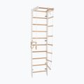 RINAGYM gymnastic ladder SPR B white 4