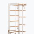 RINAGYM gymnastic ladder SPR B white 5